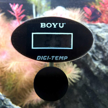Boyu Termometro Digital Redondo