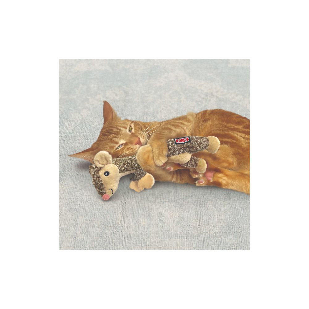 Kong Los Gatos Aman Al Raton