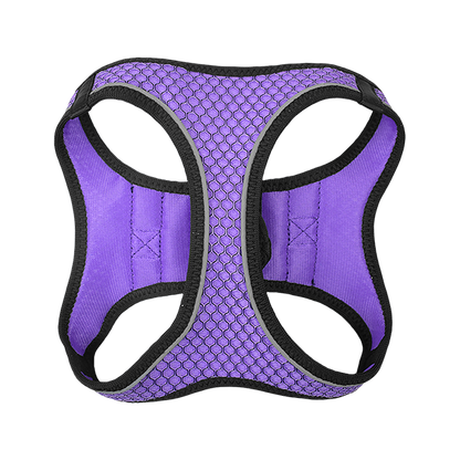 FANCY PETS SET ARNES Y CORREA SPORTIE INT VIOLETA