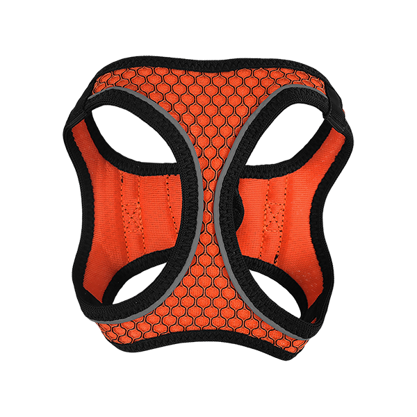 Fancy Pets Arnes Y Correa Sportie Xch Naranja