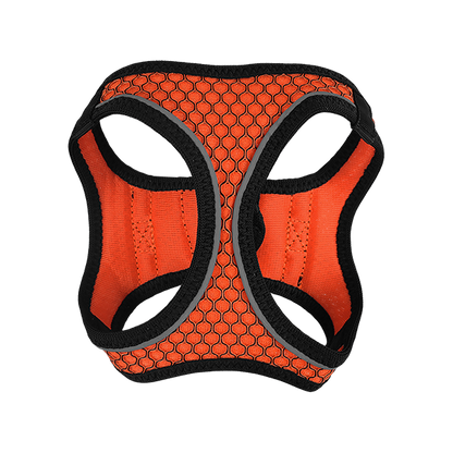 Fancy Pets Arnes Y Correa Sportie Xch Naranja