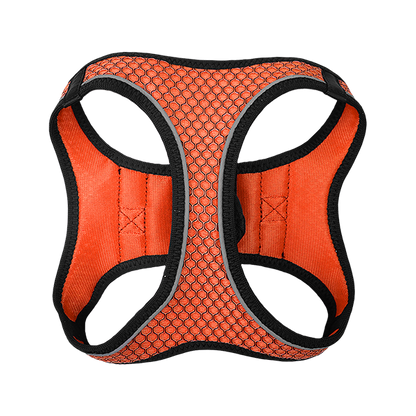 FANCY PETS SET ARNES Y CORREA SPORTIE INT NARANJA