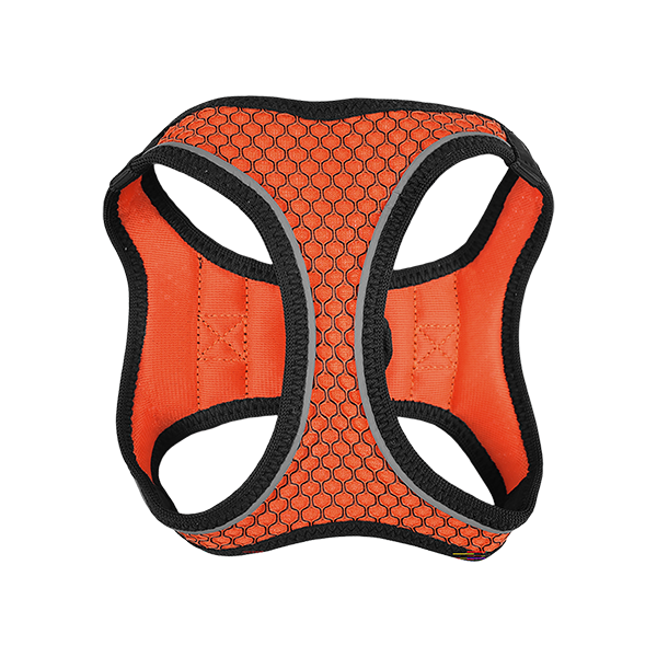 Fancy Pets Arnes Y Correa Sportie Ch Naranja
