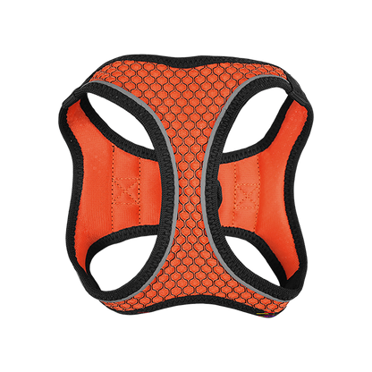 Fancy Pets Arnes Y Correa Sportie Ch Naranja