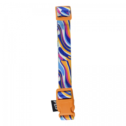 FANCY PETS COLLAR MED COLOR MX P/PERRO GALERIA
