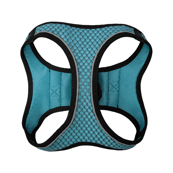 FANCY PETS SET ARNES Y CORREA SPORTIE INT AZUL
