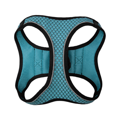 FANCY PETS SET ARNES Y CORREA SPORTIE INT AZUL