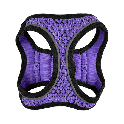 Fancy Pets Arnes Y Correa Sportie Xch Violeta