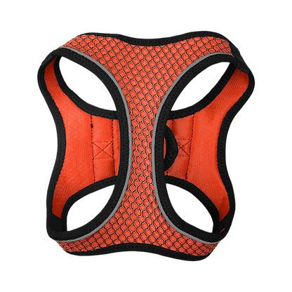 Fancy Pets Arnes Y Correa Sportie Med Naranja