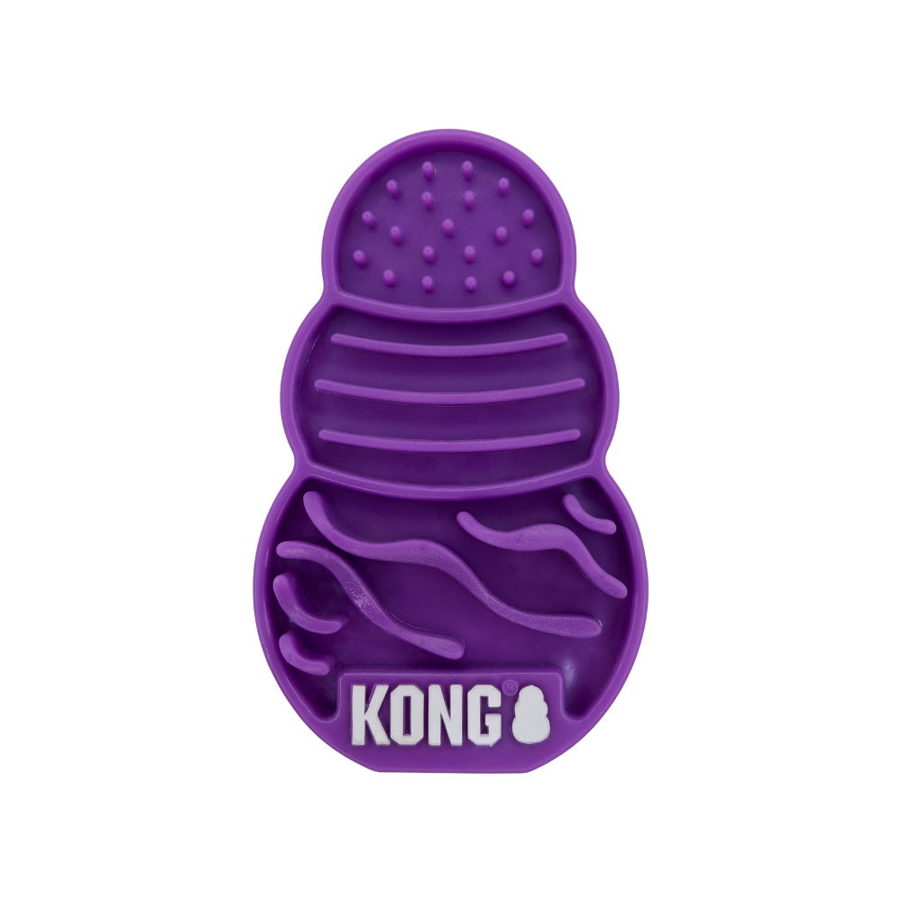 Kong Plato Interactivo Para Gatitos