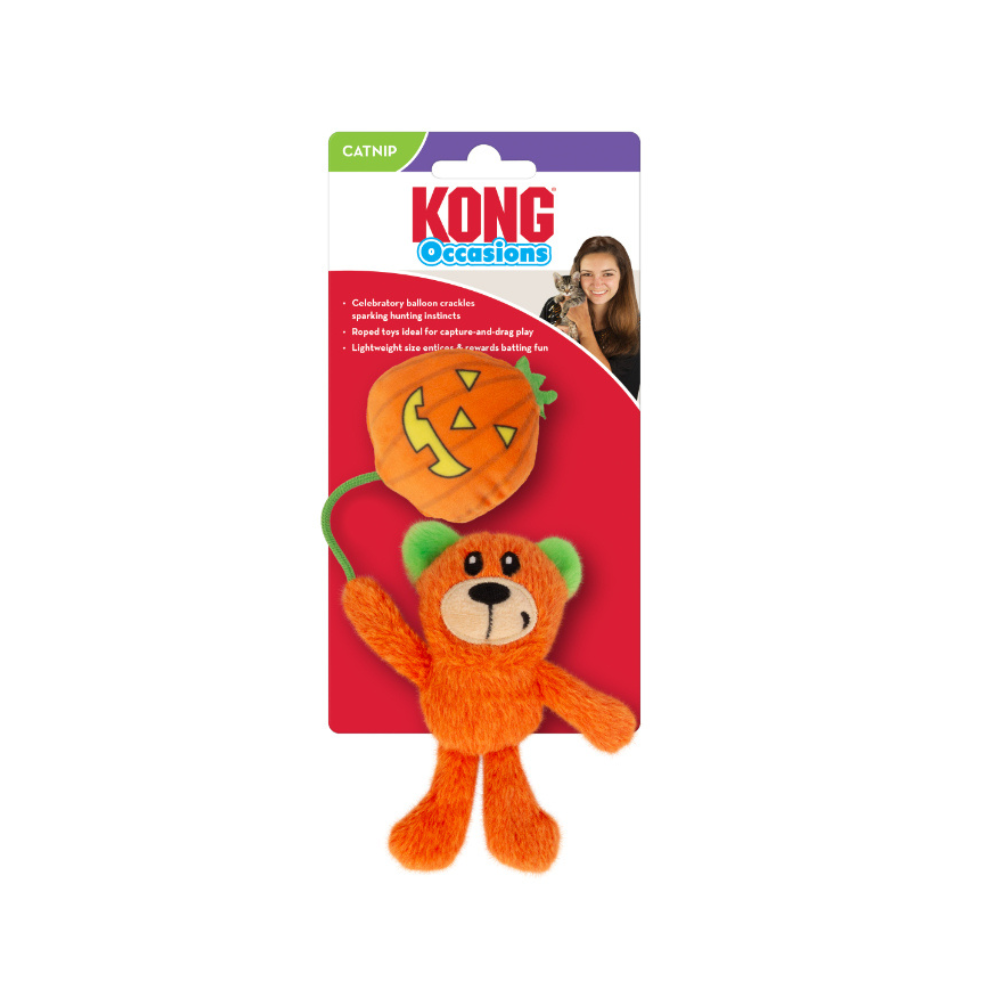 Kong Hallowen Occasions Bear Catnip