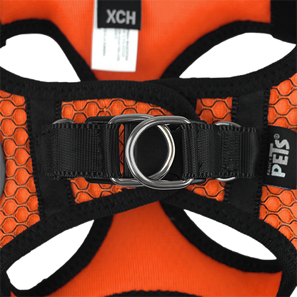 Fancy Pets Arnes Y Correa Sportie Xch Naranja