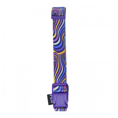 Fancy Pets Collar Ch Aqua Pop P/Perro Galeria