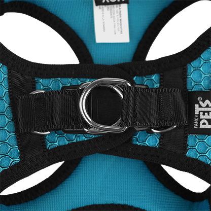Fancy Pets Arnes Y Correa Sportie Xch Azul