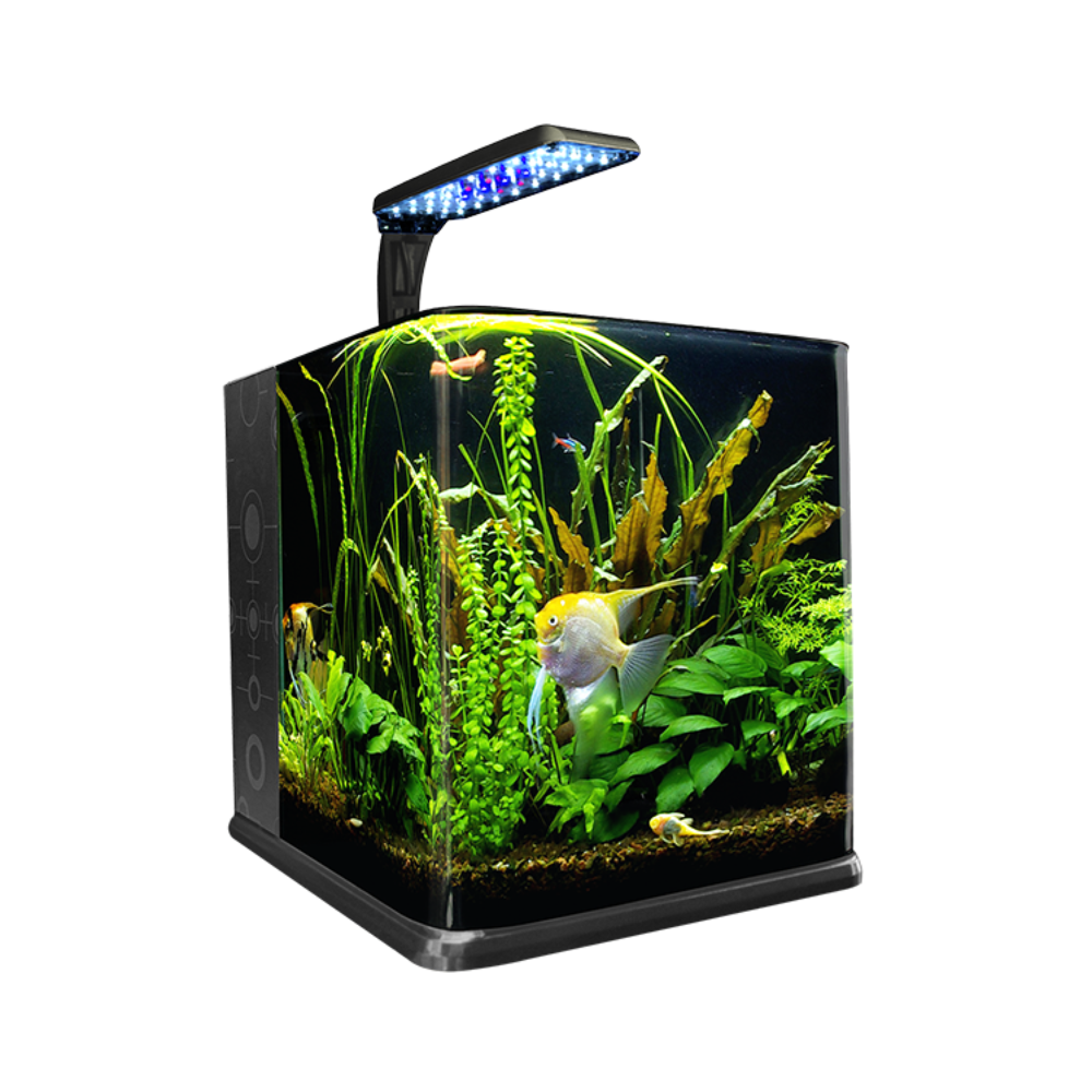 Lomas Acuario Nano Cubo 18LT
