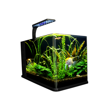 Lomas Acuario Nano Largo 14LT