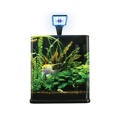 Lomas Acuario Nano Largo 14LT
