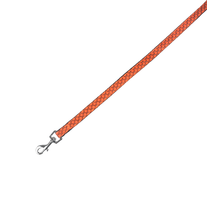 Fancy Pets Arnes Y Correa Sportie Ch Naranja
