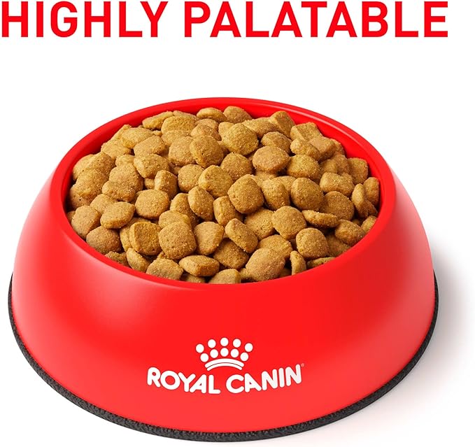 ROYAL CANIN ADVANCED MOBILITY CANINE 4 KG