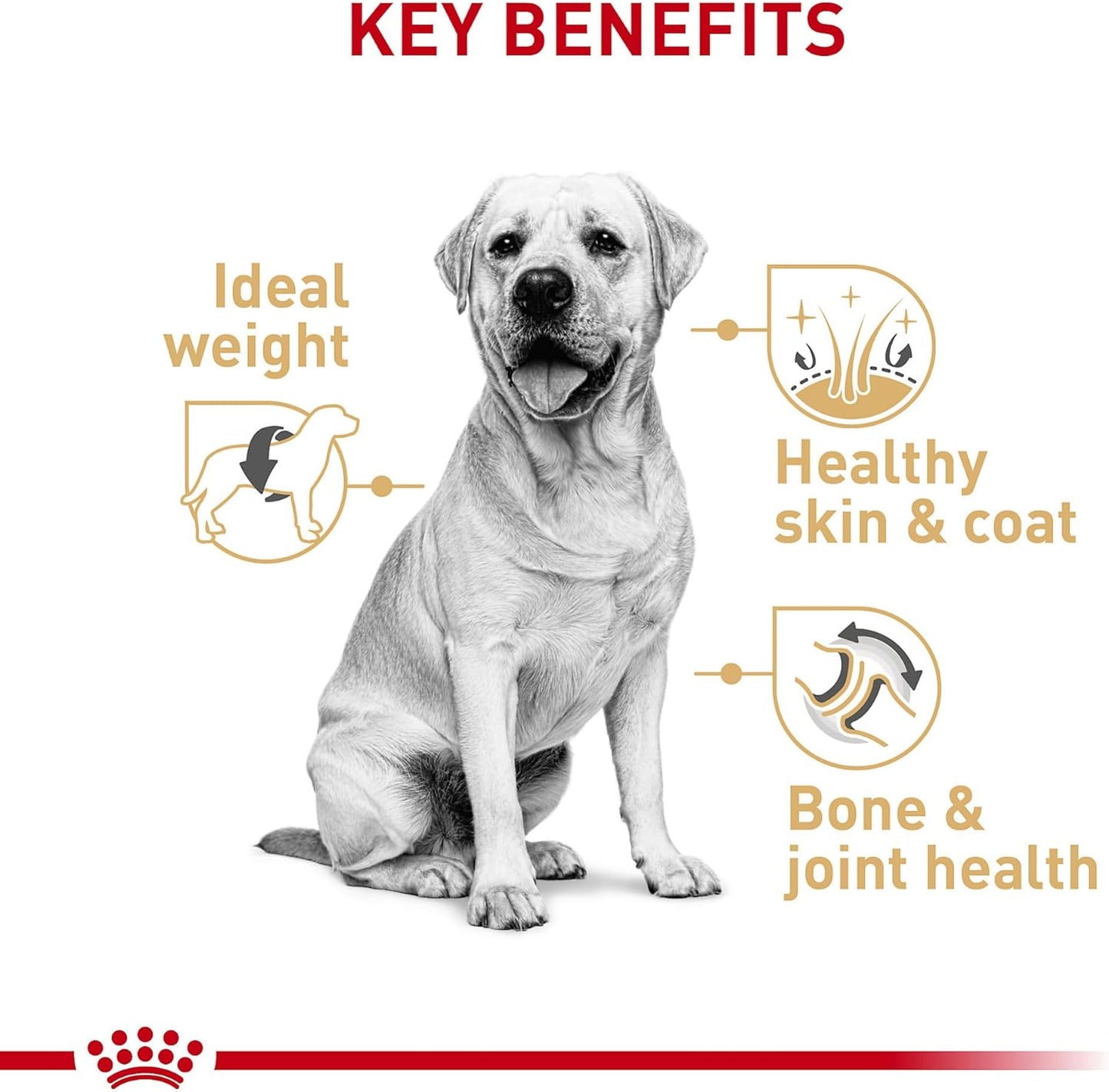 ROYAL CANIN BHN LABRADOR RETRIEVER 13.6 KG