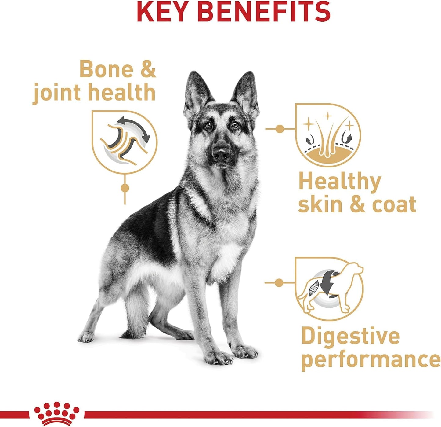 ROYAL CANIN BHN GERMAN SHEPHERD 13.6 KG