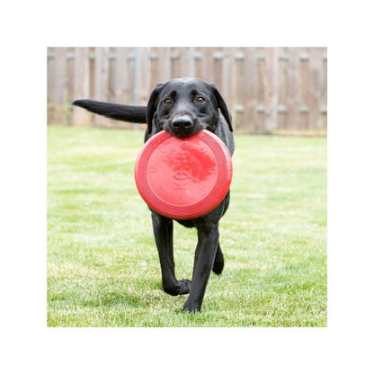 Kong Flyter Zone De Naylon