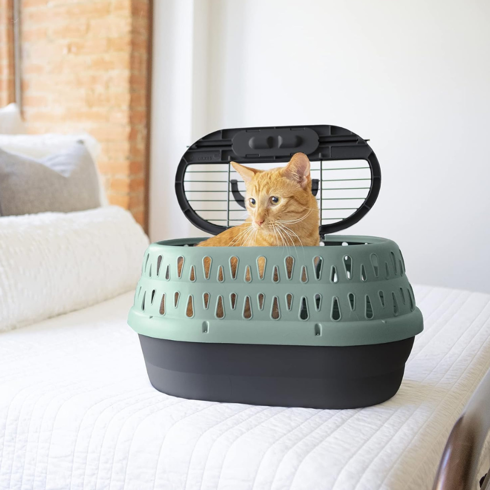Petmate Transportadora Verde Para Gato Con Puerta Superior