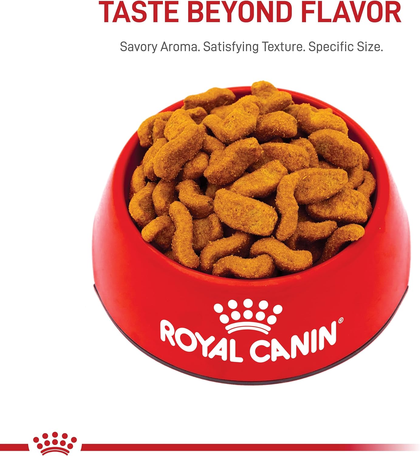 ROYAL CANIN BHN CHIHUAHUA 4.54 KG