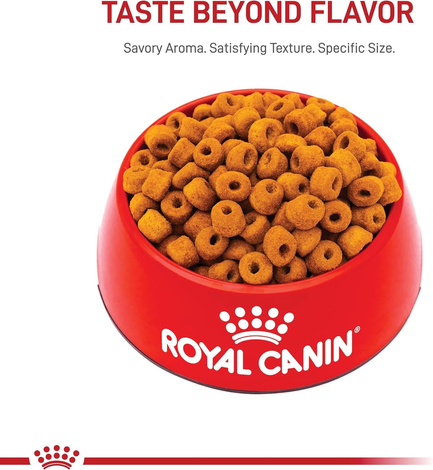 ROYAL CANIN BHN LABRADOR RETRIEVER 13.6 KG