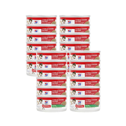 HILLS KITTEN ORIGINAL LATA 156 G 24 PZ