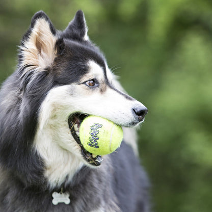 Kong Pelotas Paq. 4 Tennis