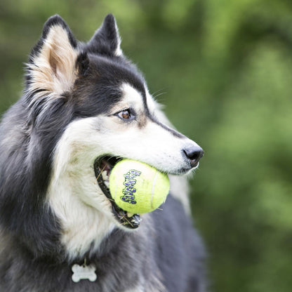 Kong Pelota Squeakair Mediana Con Cuerda