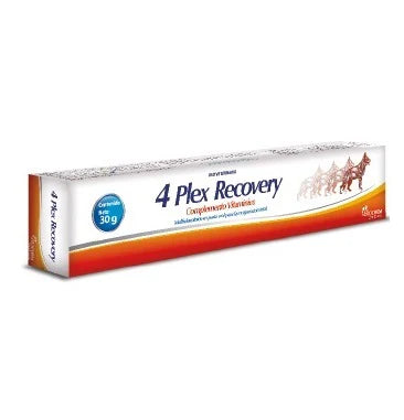 BIOCHEM 4 PLEX RECOVERY COMPLEMENTO VITAMINICO 30 G