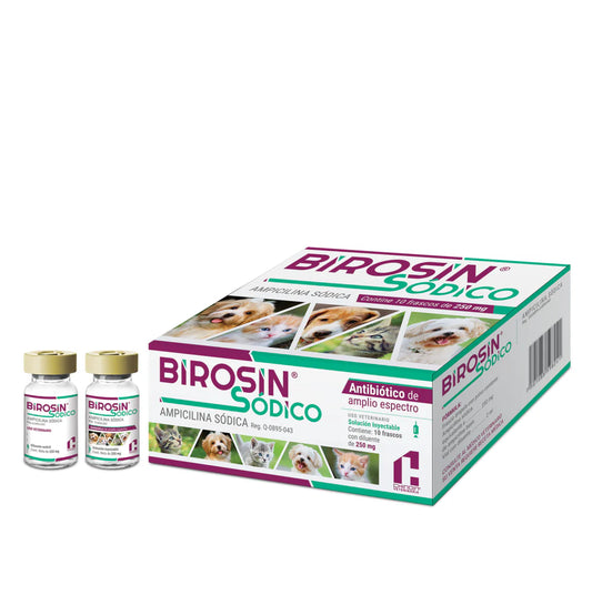 CHINOIN BIROSIN SODICO 250 MG 2 ML