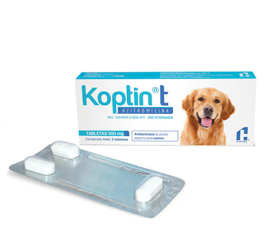 CHINOIN KOPTIN T 500 MG 3 TAB