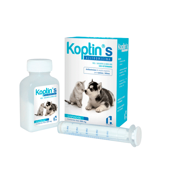 CHINOIN KOPTIN S 900 G ORAL