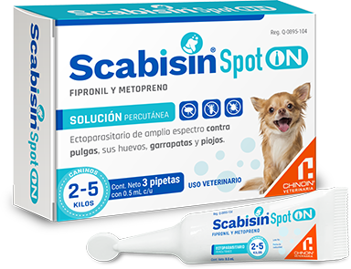 Chinoin Scabisin Spot On 1 Pipeta 0.5Ml