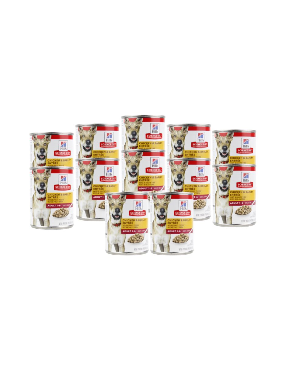 Hills Perro Adult Original Lata 370 G 12 Pz