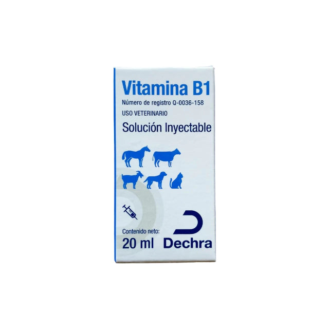 Dechra Vitamina B1 Iny 20 Ml