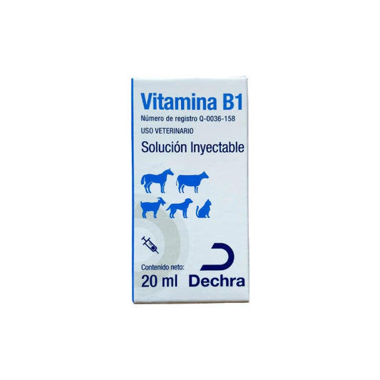 DECHRA VITAMINA B1 INY 20 ML