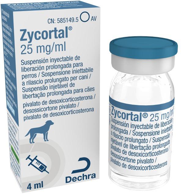 DECHRA Zycortal 25 mg 4 ml