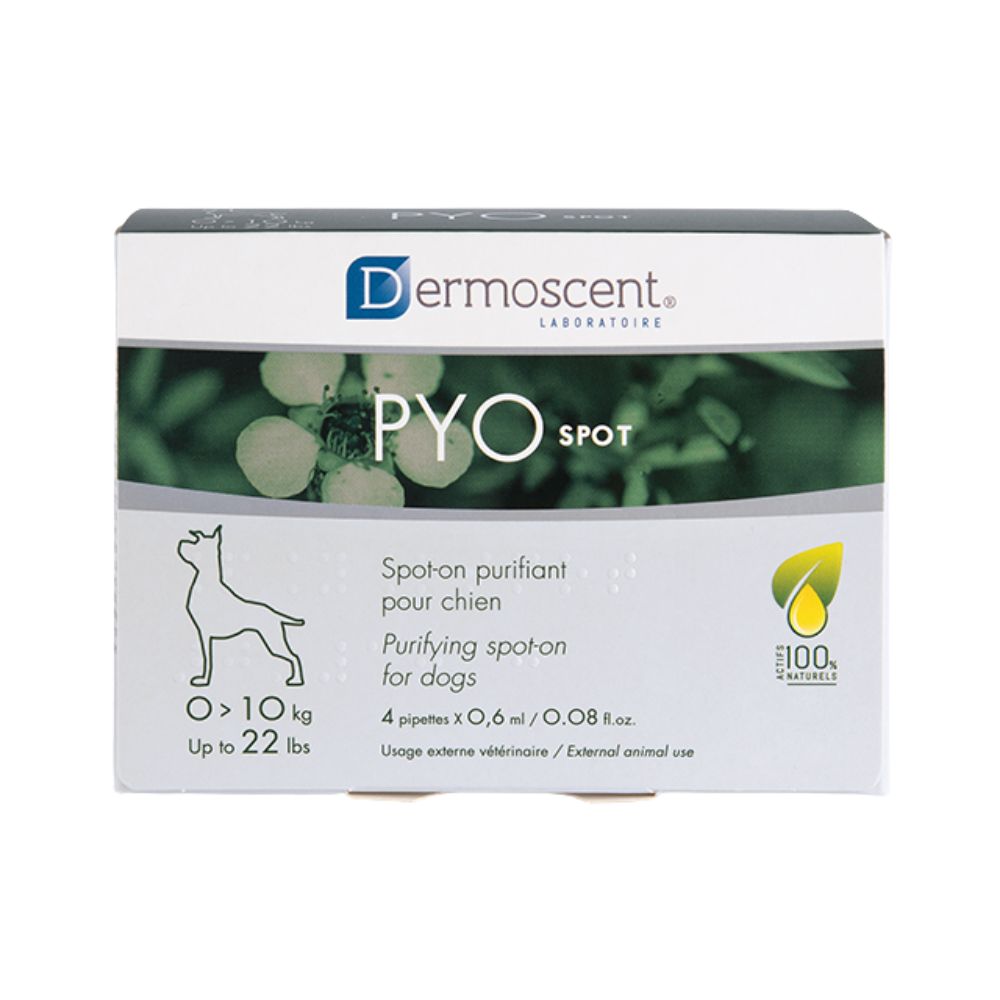 Dermoscent Pyo Spot 1-10Kg 4 Pip