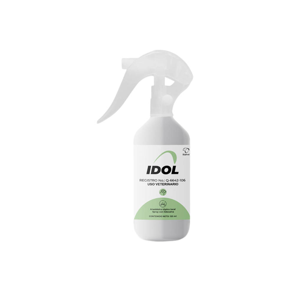 Halvet Idol Spray 120 Ml