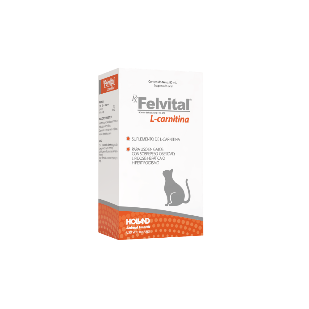 Holland Rx Felvital L-Carnitina 80Ml