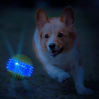 Nerf Pelota Puas Con Led Y Chirrido