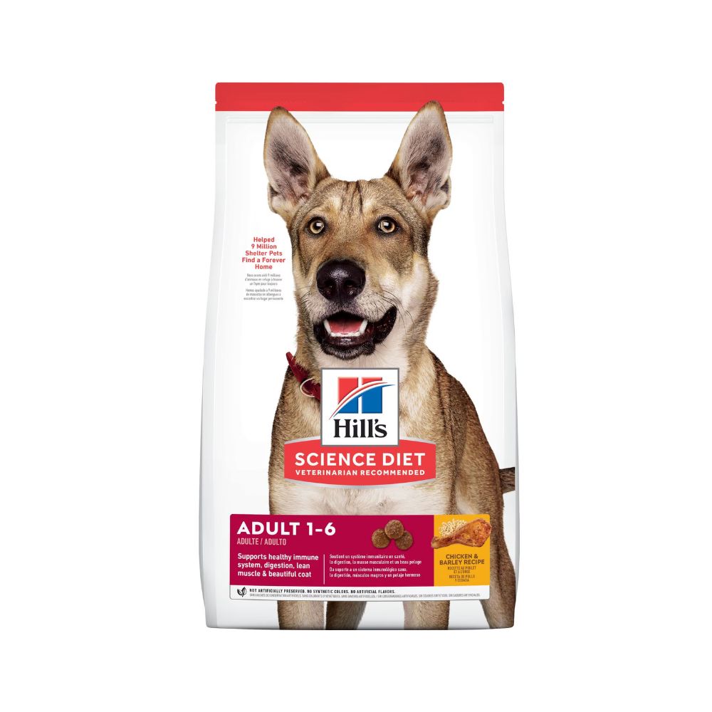 HILLS Adult Original 2 KG (Perros adultos de 1 - 6 años)