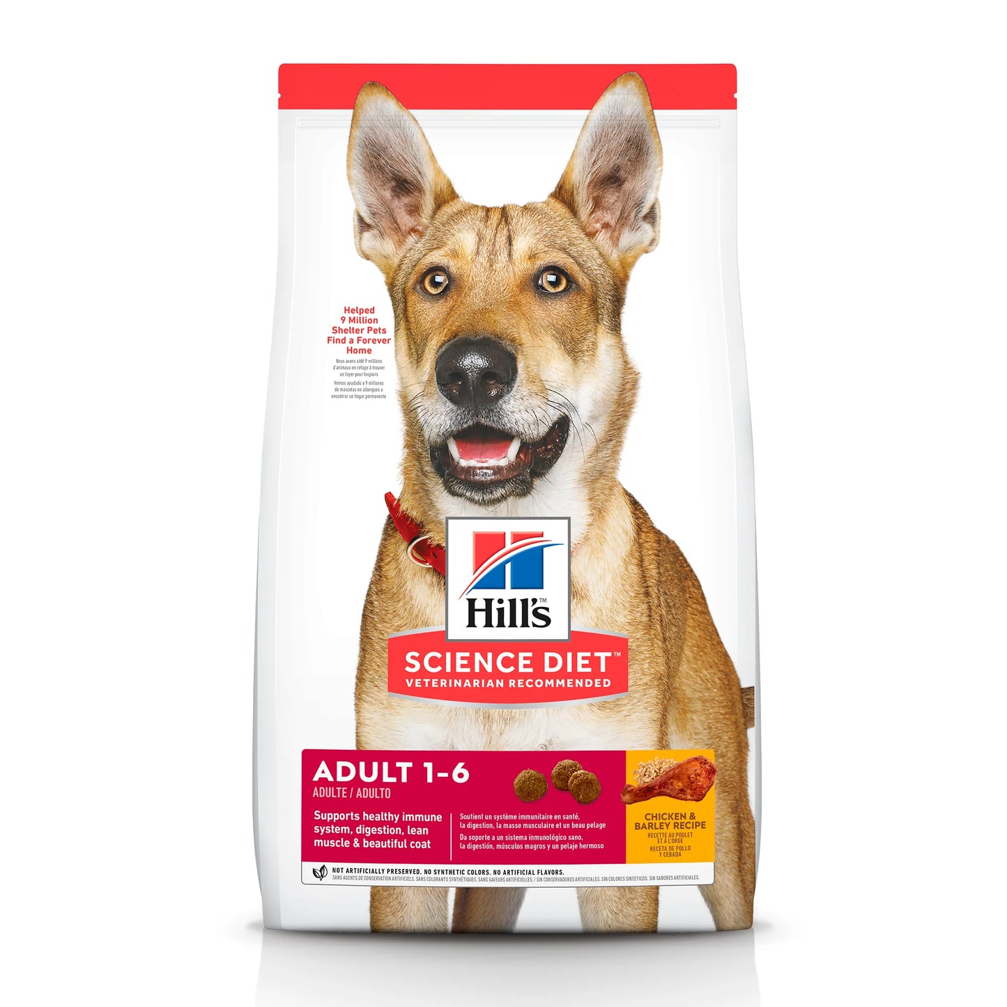 HILLS Adult Original 2 KG (Perros adultos de 1 - 6 años)