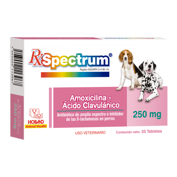 HOLLAND RX SPECTRUM AMOXICILINA-AC. CLAVULANICO 250 MG 20 TABLETAS