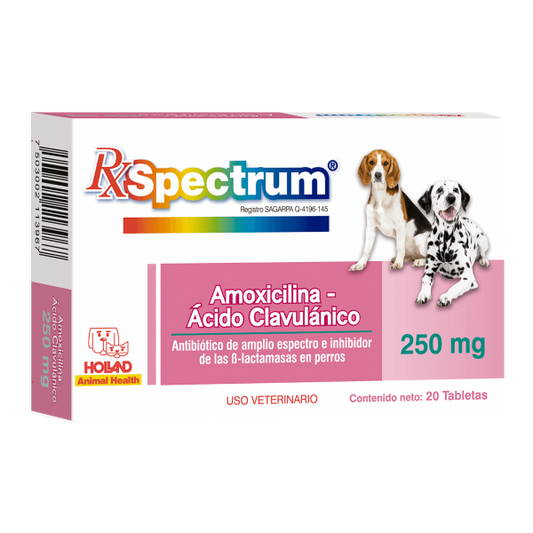 HOLLAND RX SPECTRUM AMOXICILINA-AC. CLAVULANICO 250 MG 20 TABLETAS