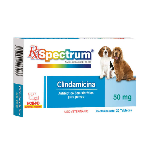 HOLLAND RX SPECTRUM CLINDAMICINA 50 MG 20 TABLETAS